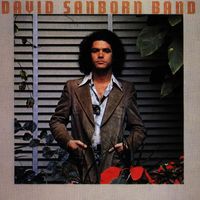 David Sanborn - Promise Me the Moon