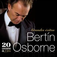 Bertin Osborne - Como Un Vagabundo