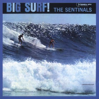 The Sentinals - Big Surf