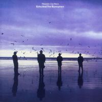 Echo & The Bunnymen - Heaven up Here (Deluxe Edition)