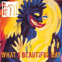 The Levellers - What A Beautiful Day (1 track DMD)