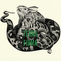 The Young Knives - Terra Firma (1 track DMD)