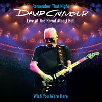 David Gilmour - Wish You Were Here (Live at the Royal Albert Hall)