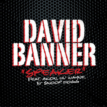 David Banner - Speaker