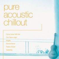 The New World Orchestra - Pure Acoustic Chillout (with Merv Young)