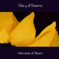 Diary of Dreams - Moments of Bloom
