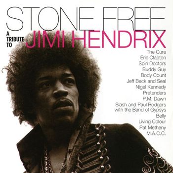 Various Artists - Stone Free: A Tribute to Jimi Hendrix