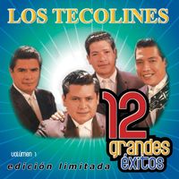 Los Tecolines - 12 Grandes exitos Vol. 1