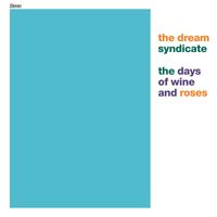 The Dream Syndicate - The Days Of Wine And Roses (Digital Version)