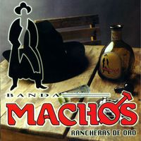 Banda Machos - Rancheras de oro