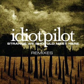 Idiot Pilot - Remixes From "Strange We Should Meet Here" (DMD Maxi)