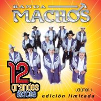 Banda Machos - 12 Grandes exitos Vol. 1