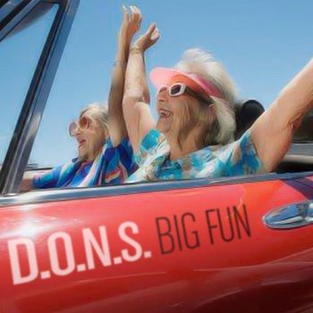D.O.N.S. - Big Fun