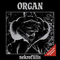 Organ - Nekrofiilis