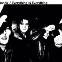 Phoenix - everything is everything