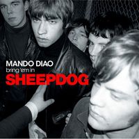 Mando Diao - Sheepdog