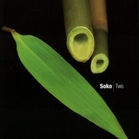 Soko - Two