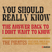 The Pirates, Shola Ama, Enya, Naila Boss - You Should Really Know