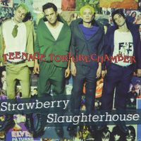 Strawberry Slaughterhouse - Teenage Torturechamber