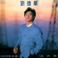 劉德華 - 回到你身邊 + 法內情 (國語)