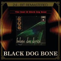 Black Dog Bone - The Best Of BDB (Explicit)