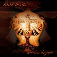 Mor W.A., Wigor Mor W.A., Łyskacz - Morwa drzewo