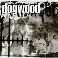 Dogwood - More Than Conquerors