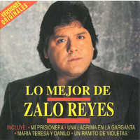 Zalo Reyes - Una Lágrima En La Garganta