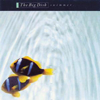 The Big Dish - Swimmer