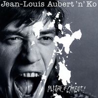 Jean-Louis Aubert - platre et ciment