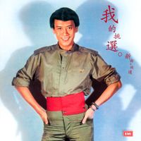 羅文 - 羅文紀念全集(七): 我的挑選 ((新曲+精選))