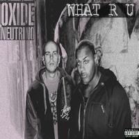 Oxide & Neutrino - What R U Fruity Remix (Explicit)