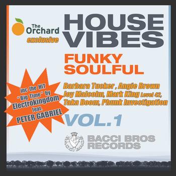 Various Artists - House Vibes Funky Soulful, Vol. 1