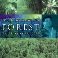 Taufiq Qureshi - Mystic Soundscapes: Forest