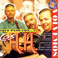 Los H.H. - ¿Que Paso Con Los H.H.?