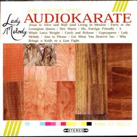 Audio Karate - Lady Melody