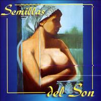 Semillas Del Son - Semillas Del Son (Cuban Son Seeds)