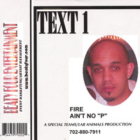 Text 1 - Fire