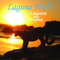 Laguna Meth - Laguna The Puma