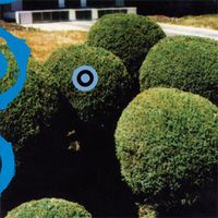 Carpet Musics - Weekday