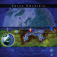 Solea Amphibia - Say