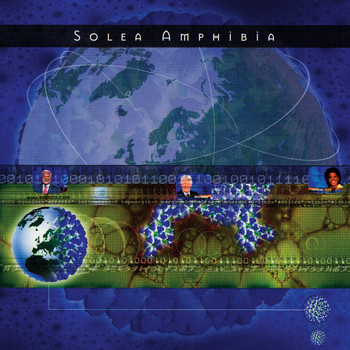 Solea Amphibia - Say