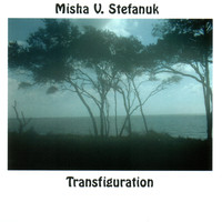 Misha V. Stefanuk - Transfiguration