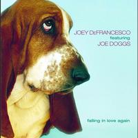 Joey DeFrancesco, Joe Doggs - Falling In Love Again