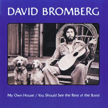David Bromberg - My Own House / You Should See The Rest Of The Band