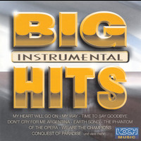 Acoustic Sound Orchestra - Big Hits Instrumental