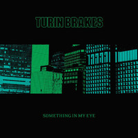 Turin Brakes - Something In My Eye