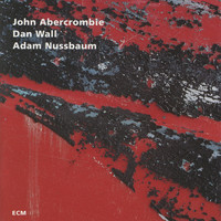 John Abercrombie, Dan Wall, Adam Nussbaum - While We're Young
