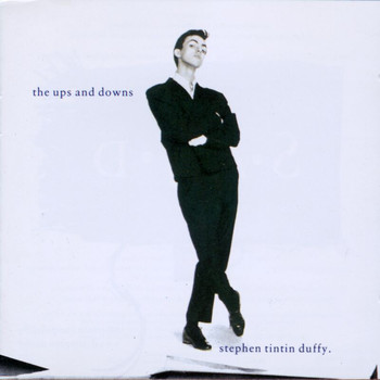 Stephen Duffy - The Ups And Downs: A Very Beautiful Collection