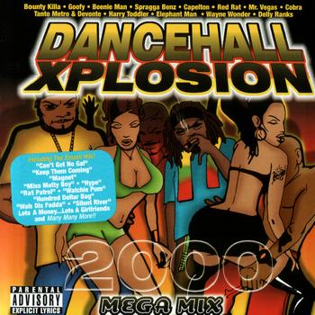 Various Artists - Jamdown Records - Dancehall Xplosion 2000